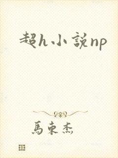 超h小说np