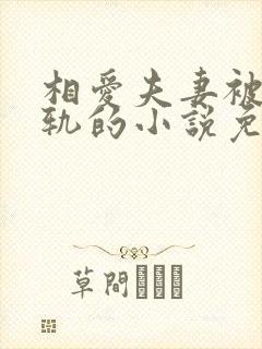 相爱夫妻被迫出轨的小说免费阅读