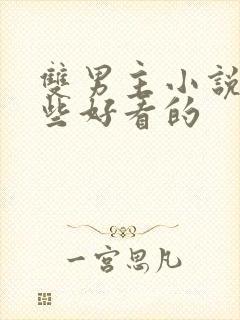 双男主小说有哪些好看的