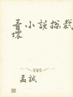 看小说总裁别太坏