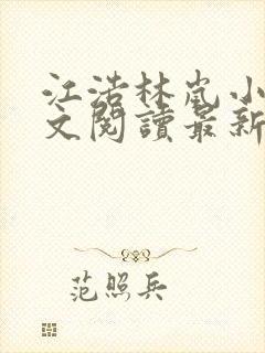 江浩林岚小说全文阅读最新章节更新