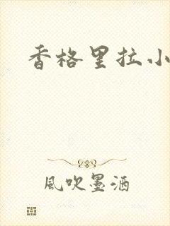 香格里拉小说封面