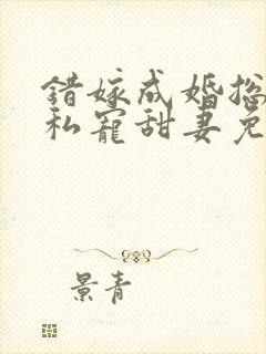 错嫁成婚总裁的私宠甜妻免费阅读封面