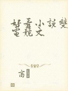 好看小说双男主电竞文封面