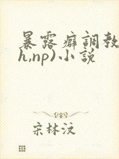 暴露癖调教(高h,np)小说