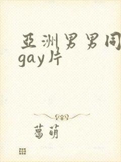 亚洲男男同性恋gay片