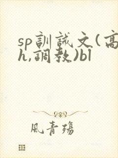 sp训诫文(高h,调教)bl