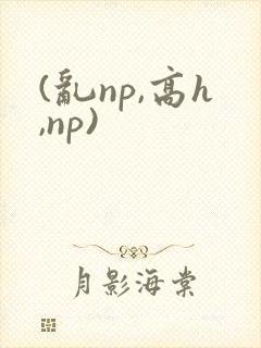 (乱np,高h,np)