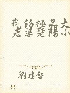 我的极品大小姐老婆楚阳小说阅读封面