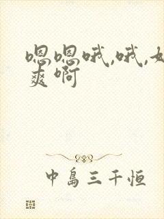 嗯嗯哦,哦,好爽啊封面