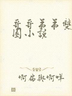 哥哥弟弟双性校园小说封面