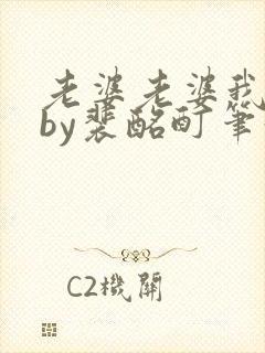 老婆老婆我爱你by裴酩酊笔趣阁