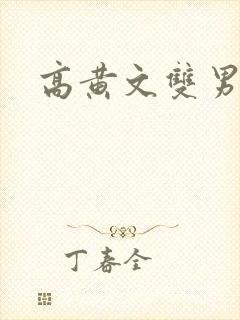 高黄文双男主封面