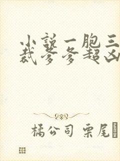 小说一胞三胎总裁爹爹超凶猛大结局