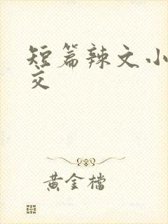 短篇辣文小说公交封面