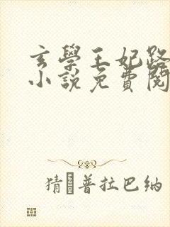 玄学王妃路子野小说免费阅读