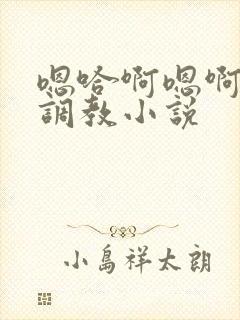 嗯哈啊嗯啊不要调教小说封面