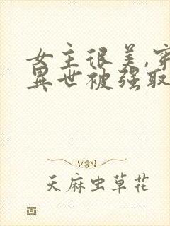 女主很美,穿越异世被强取豪夺的小说