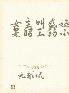 女主叫盛妩男主是昭王的小说