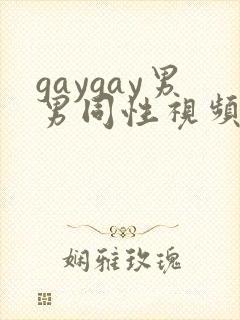 gaygay男男同性视频