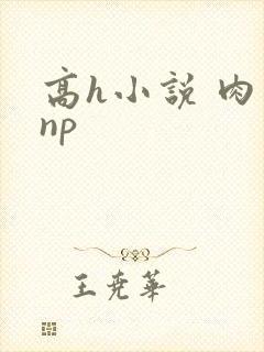 高h小说 肉 np封面
