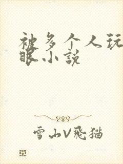 被多个人玩屁股眼小说封面