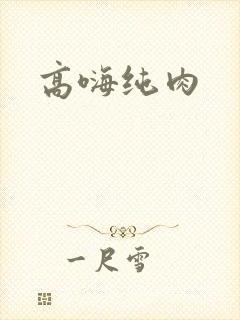 高嗨纯肉封面