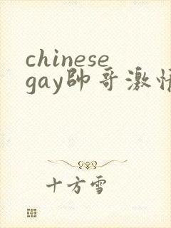 chinesegay帅哥激情