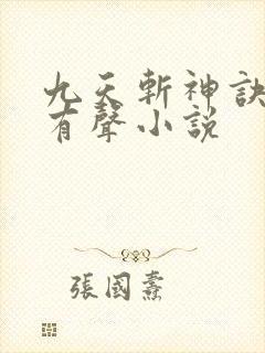 九天斩神诀林辰有声小说