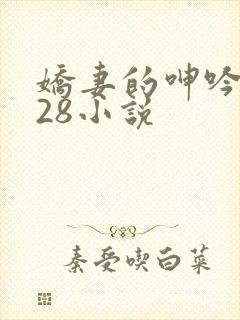 娇妻的呻吟1—28小说