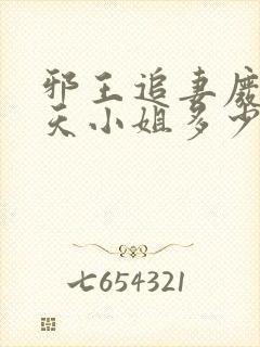 邪王追妻废材逆天小姐多少字