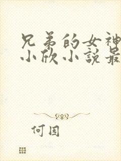 兄弟的女神女友小欣小说最新章节更