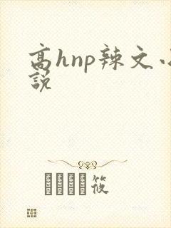 高hnp辣文小说