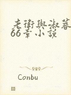 老卫与淑蓉全集66章小说
