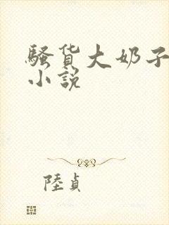 骚货大奶子言情小说