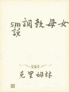 sm调教母女小说封面