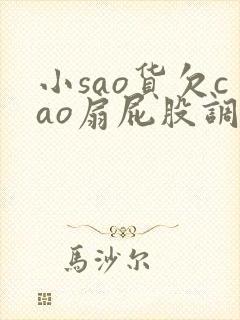 小sao货欠cao扇屁股调教小说