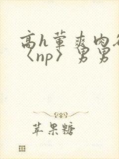 高h荤爽肉欲文〈np〉男男