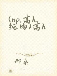 (np,高h,纯肉)高h