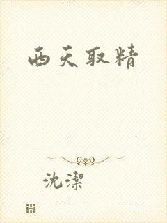 西天取精封面