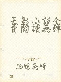 天影小说全文免费阅读无弹窗封面