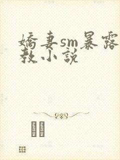 娇妻sm暴露调教小说