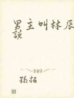 男主叫林辰的小说封面