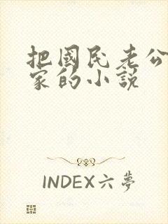 把国民老公带回家的小说封面