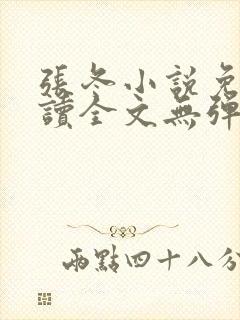 张冬小说免费阅读全文无弹窗封面