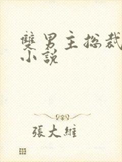 双男主总裁生子小说