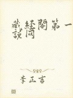 藏经阁第一版小说网封面