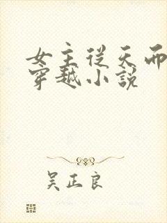 女主从天而降的穿越小说封面