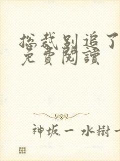 总裁别追了全文免费阅读封面