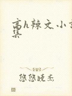 高h辣文小说合集